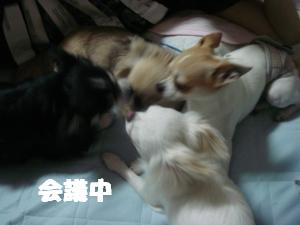 蟆城未+386_convert_20120717103039