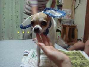 蟆城未+358_convert_20120717103429