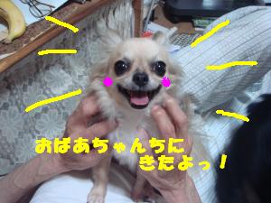 蟆城未+347_convert_20120717103649