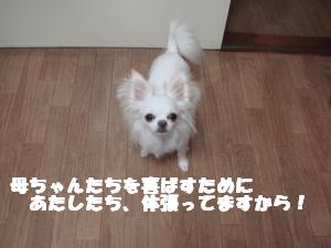 蟆城未+372_convert_20120717103232