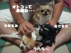 蟆城未+389_convert_20120718113558