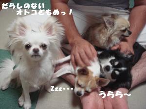 蟆城未+390_convert_20120718113116