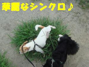 蟆城未+394_convert_20120718113242