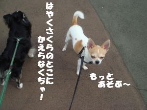蟆城未+401_convert_20120718113745