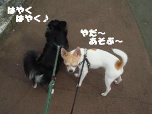 蟆城未+400_convert_20120718113650