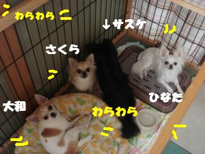 蟆城未+419_convert_20120718133949
