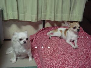 蟆城未+282_convert_20120711144256