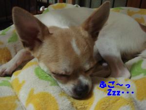 蟆城未+411_convert_20120719100304