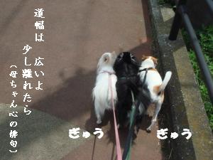 蟆城未+414_convert_20120718164235