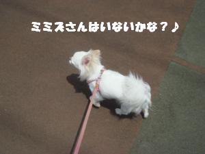 蟆城未+411_convert_20120718164337