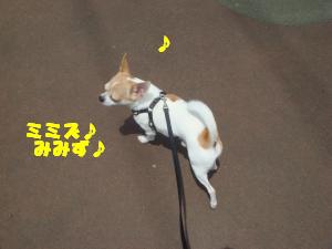 蟆城未+410_convert_20120718164405