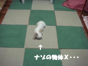 蟆城未+412_convert_20120720104719