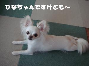 蟆城未+269_convert_20120720105004