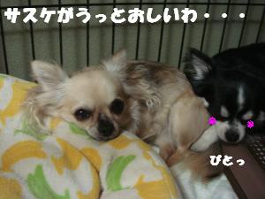 蟆城未+403_convert_20120720104827