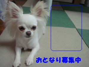 蟆城未+406_convert_20120720104631