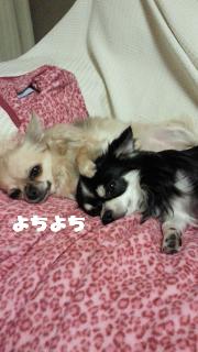 縺。繧上o+797_convert_20120720105247