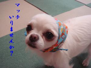 蟆城未+423_convert_20120723133446