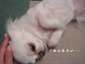 蟆城未+436_convert_20120723140136