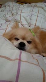 縺。繧上o+098_convert_20120723144059