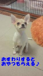 縺。繧上o+641_convert_20120724141319