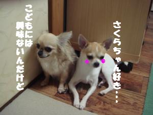 蟆城未+408_convert_20120724141016