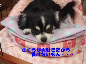 蟆城未+223_convert_20120710104948