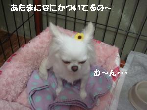 逕サ蜒・180_convert_20120725155420