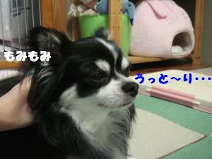 蟆城未+433_convert_20120726112452