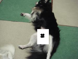蟆城未+447_convert_20120726111932