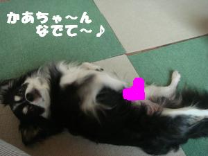 蟆城未+449_convert_20120726111859