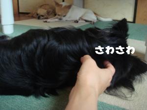 蟆城未+450_convert_20120726111830
