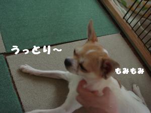 蟆城未+472_convert_20120726131723