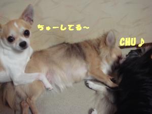 蟆城未+454_convert_20120726112332