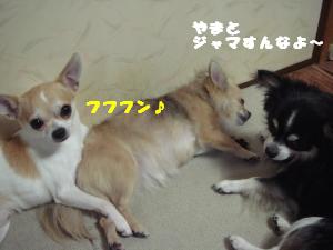 蟆城未+455_convert_20120726114325