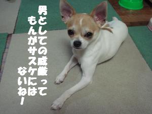 蟆城未+251_convert_20120726132345