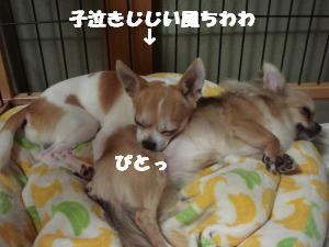 蟆城未+442_convert_20120727101848