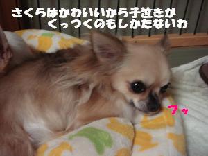 蟆城未+451_convert_20120727101817