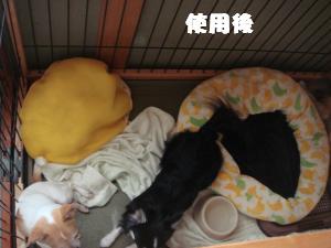 蟆城未+469_convert_20120727101710