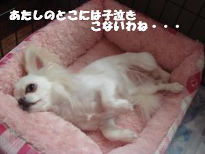 蟆城未+464_convert_20120727105815
