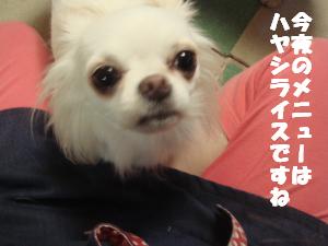 蟆城未+441_convert_20120726112011