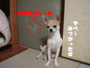 蟆城未+476_convert_20120730105653
