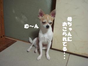 蟆城未+477_convert_20120730105734