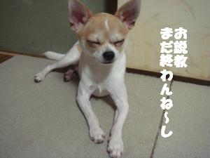 蟆城未+475_convert_20120730105606
