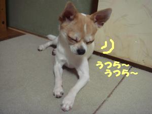 蟆城未+480_convert_20120730105518