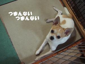 蟆城未+303_convert_20120730133739