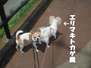 蟆城未+412_convert_20120718164445