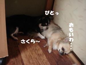 蟆城未+533_convert_20120731132639