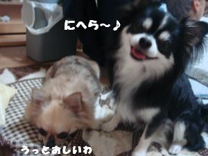 蟆城未+490_convert_20120731131458