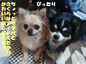 蟆城未+505_convert_20120731132218