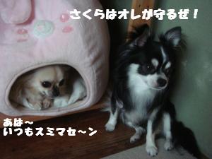 蟆城未+512_convert_20120731135516